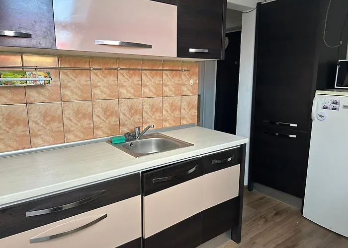 Cu 2 Apartament Cluj-Napoca